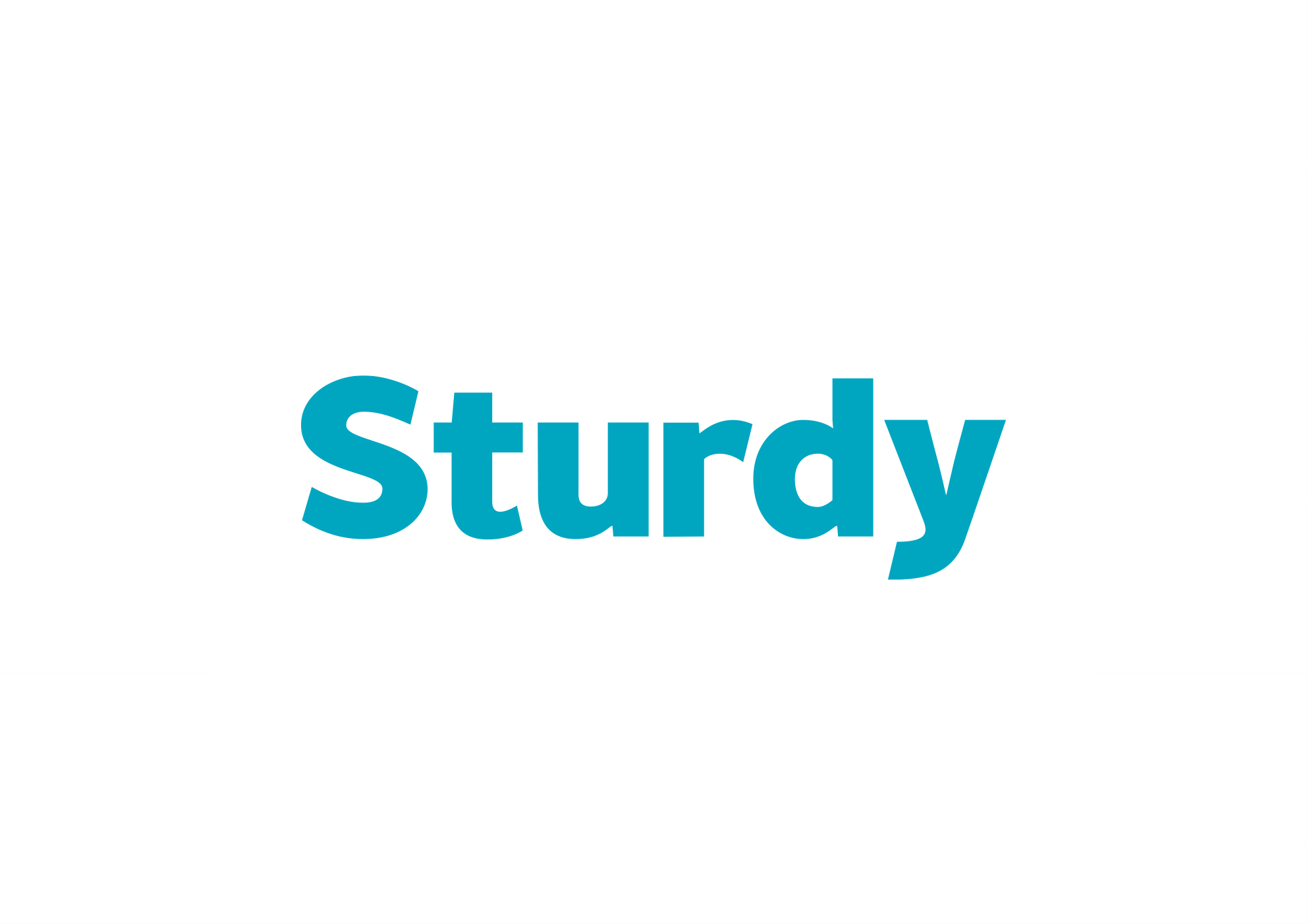 STURDY INDUSTRIAL CO., LTD.