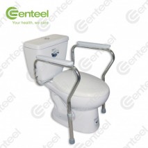 Toilet Support Frame