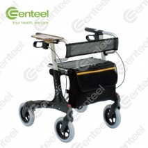 Deluxe Rollator