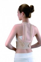 Rectified Belt For Back With Plastic