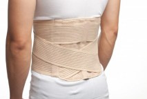 Elastic adjustable back support