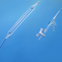 Ureteral Dilation Balloon Catheter