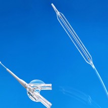 PTA Balloon Dilatation Catheter – Over the Wire dual Lumen