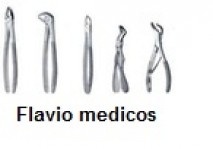 Dental Extracting Forcep