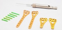 Bone Screw and Bone Plate Implant System