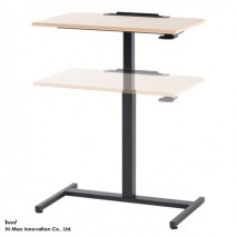 Wheelchair Accessible Height Adjustable Table